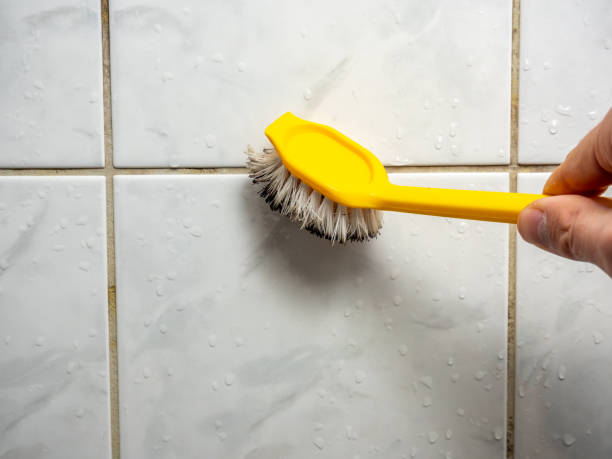 Best Office Mold Removal Services  in Parklawn, CA