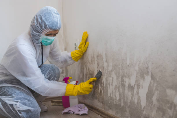 Best Crawl Space Mold Removal  in Parklawn, CA
