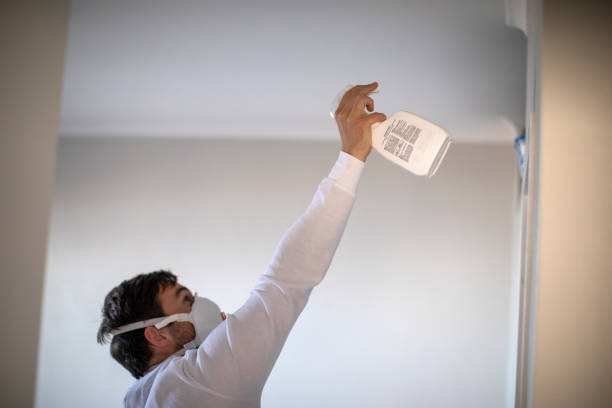 Best Emergency Mold Removal  in Parklawn, CA