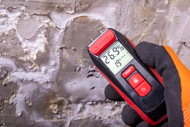 Best Crawl Space Mold Removal  in Parklawn, CA