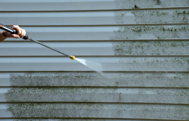 Best Toxic Mold Removal  in Parklawn, CA
