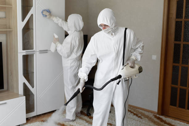 Best Local Mold Removal Service  in Parklawn, CA