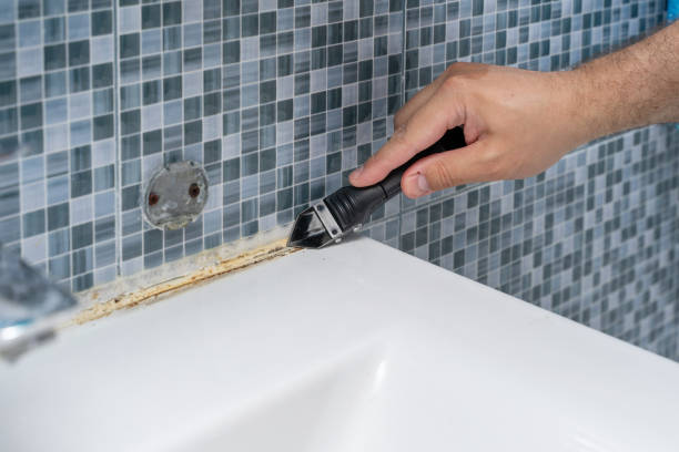 Best Mold Inspection  in Parklawn, CA