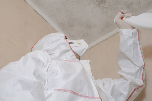 Water Damage Restoration in Parklawn, CA