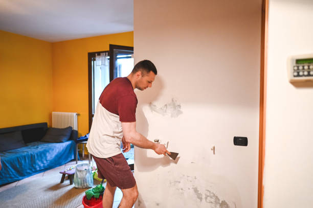 Best Home Mold Removal  in Parklawn, CA