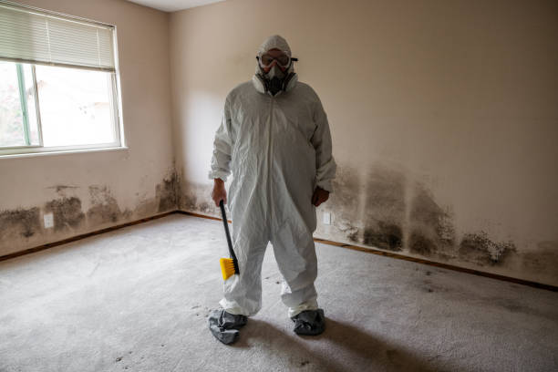 Best Toxic Mold Removal  in Parklawn, CA